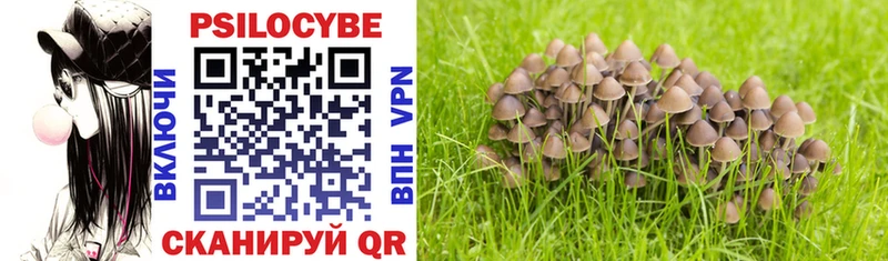 Галлюциногенные грибы Psilocybine cubensis shop как зайти Обоянь